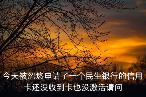 沒(méi)收到?jīng)]激活的信用卡怎么辦，沒(méi)有激活的信用卡可以補(bǔ)辦激活嗎