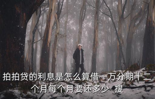 手機信用貸拍拍貸利息怎么算，請問拍 拍貸信用貸款一萬元一個月要多少利息