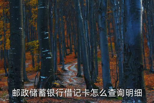 郵政儲(chǔ)蓄銀行借記卡怎么查詢(xún)明細(xì)