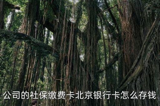 北京銀行怎么存錢，我可以在atm上往北京銀行的京卡里存錢么