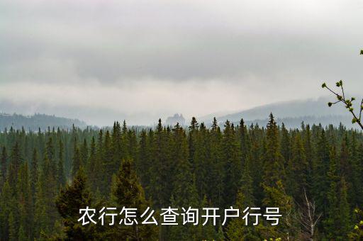 農(nóng)行怎么查詢(xún)開(kāi)戶(hù)行號(hào)