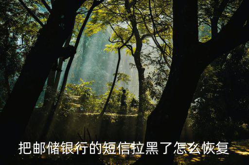 銀行發(fā)的短信怎么恢復(fù)嗎，銀行提醒的短信刪了能找回嗎