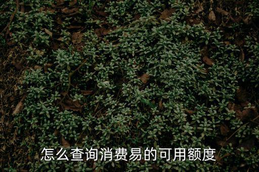 怎么查詢消費易的可用額度