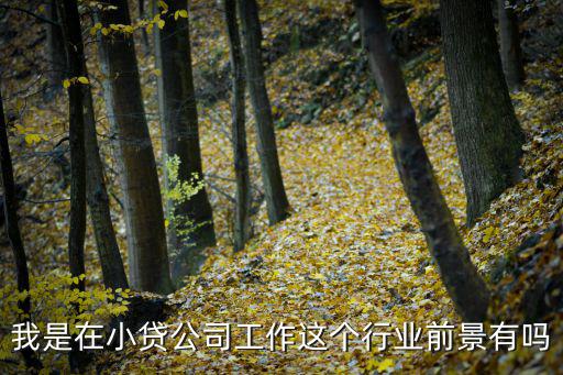我是在小貸公司工作這個行業(yè)前景有嗎