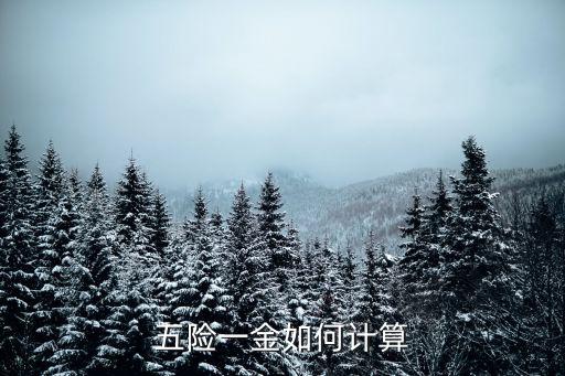 繳納五險(xiǎn)怎么計(jì)算，社會(huì)保險(xiǎn)的五險(xiǎn)時(shí)怎么計(jì)算的