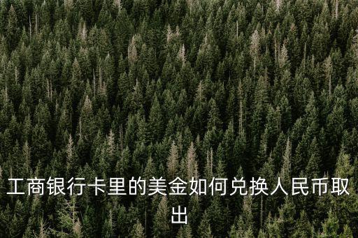 工商銀行卡里的美金如何兌換人民幣取出