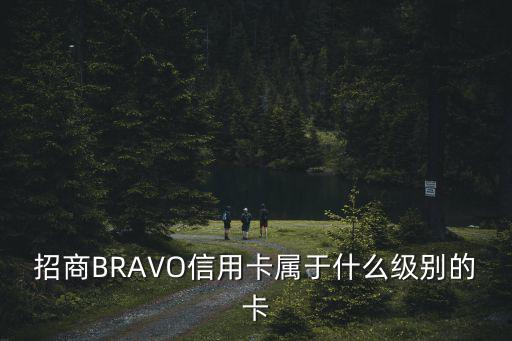 怎么看招商信用卡級別，招商BRAVO信用卡屬于什么級別的卡