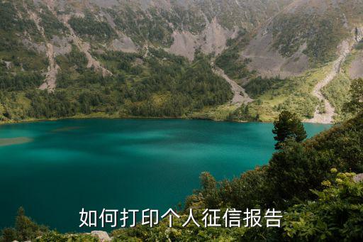 如何打印個(gè)人征信報(bào)告