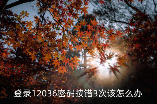 登錄三次錯(cuò)誤怎么辦啊，登錄12036密碼按錯(cuò)3次該怎么辦