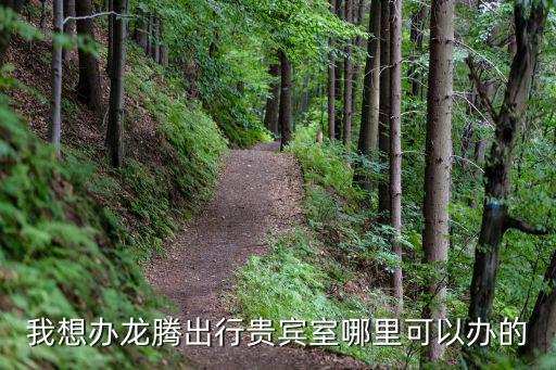 龍騰貴賓廳怎么辦，龍騰出行貴賓室使用有沒有時間限制