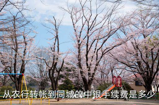 農(nóng)行中行轉(zhuǎn)賬手續(xù)費怎么算，農(nóng)行往中行匯款手續(xù)費怎么收