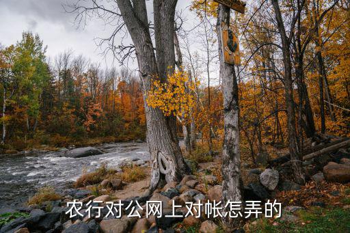 農(nóng)行對(duì)公網(wǎng)上對(duì)帳怎弄的