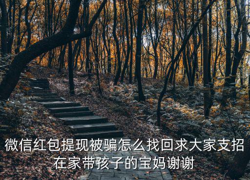 微信紅包提現(xiàn)被騙怎么找回求大家支招在家?guī)Ш⒆拥膶殝屩x謝