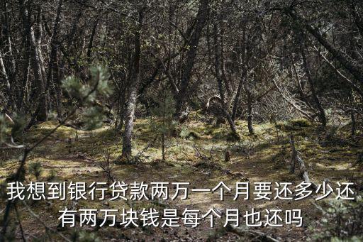 我想到銀行貸款兩萬一個月要還多少還有兩萬塊錢是每個月也還嗎