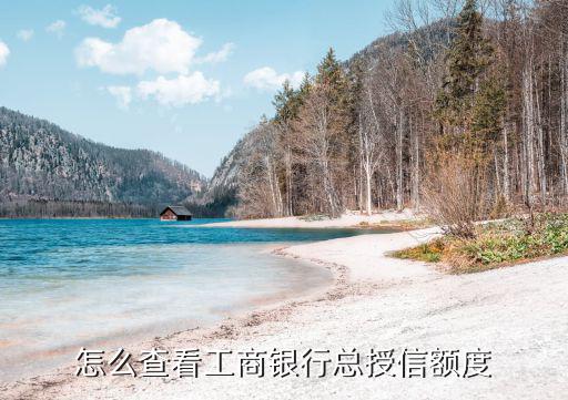 工商通過怎么看額度，怎么查看工商銀行總授信額度