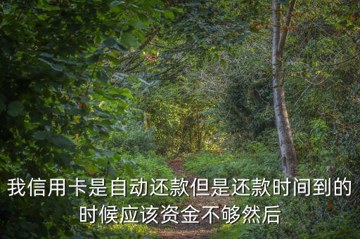 我信用卡是自動還款但是還款時間到的時候應(yīng)該資金不夠然后