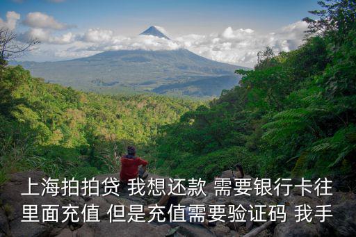 上海拍拍貸 我想還款 需要銀行卡往里面充值 但是充值需要驗證碼 我手