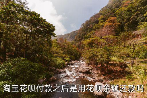 淘寶花唄付款之后是用花唄余額還款嗎