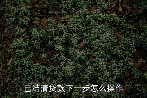 銀行貸款下來了怎么辦理，買房貸款辦好后接下來應(yīng)該辦什么手續(xù)