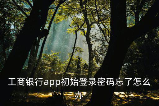 工商銀行app初始登錄密碼忘了怎么辦