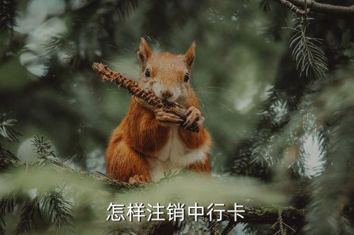 怎樣注銷中行卡