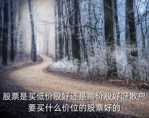 買低價股怎么樣，購買低價股的風險會比高價股額風險低嗎買低價股有沒有優(yōu)勢搜