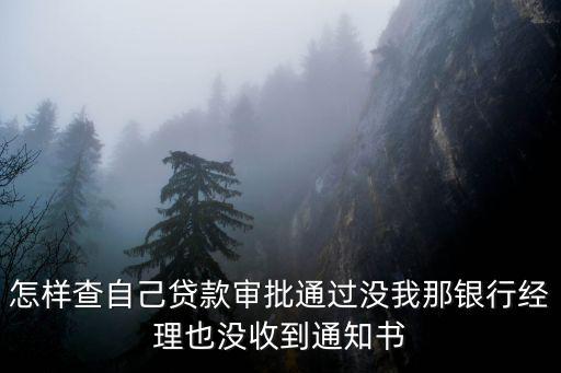 怎樣查自己貸款審批通過沒我那銀行經(jīng)理也沒收到通知書
