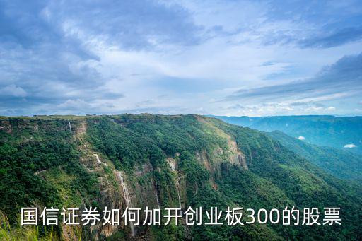 國(guó)信證券如何加開創(chuàng)業(yè)板300的股票