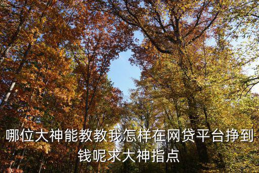 哪位大神能教教我怎樣在網(wǎng)貸平臺(tái)掙到錢呢求大神指點(diǎn)