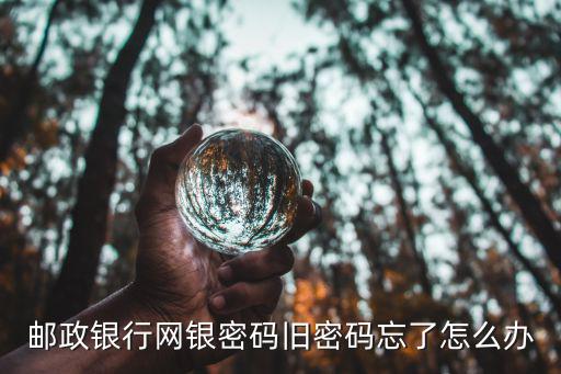 郵政銀行網(wǎng)銀密碼舊密碼忘了怎么辦