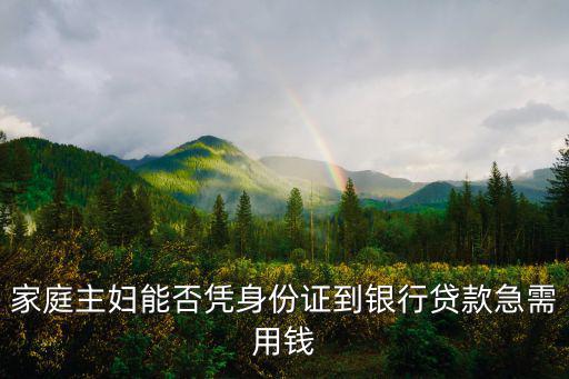 家庭主婦能否憑身份證到銀行貸款急需用錢(qián)