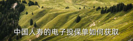 中國人壽怎么收保單，中國人壽保險(xiǎn)學(xué)生怎樣獲取保單