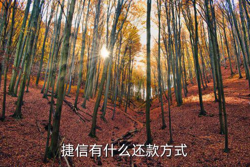 捷信有什么還款方式