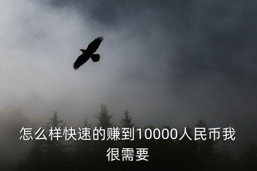 怎么樣快速的賺到10000人民幣我很需要