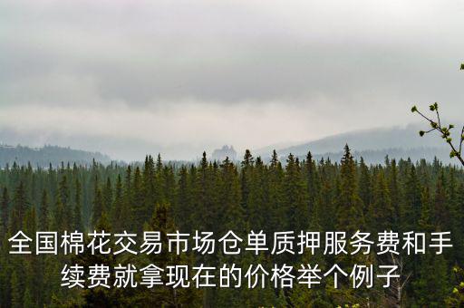 倉單質(zhì)押手續(xù)怎么辦，在倉單質(zhì)押的過程中倉庫應(yīng)承擔(dān)哪些工作