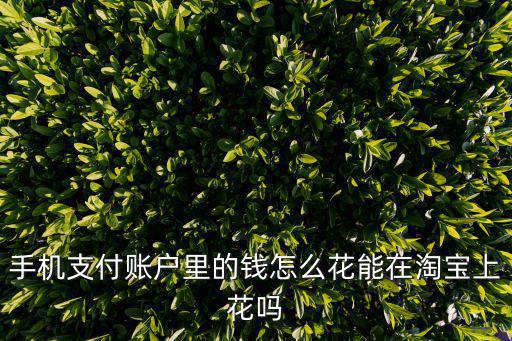 淘寶賬戶余額怎么花，手機(jī)支付賬戶里的錢怎么花能在淘寶上花嗎