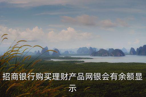 招商銀行購買理財(cái)產(chǎn)品網(wǎng)銀會(huì)有余額顯示