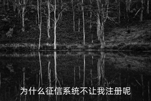 證信帳號(hào)怎么注冊(cè)不了，為什么征信系統(tǒng)不讓我注冊(cè)呢