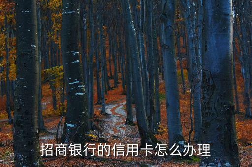 招商銀行的信用卡怎么辦理
