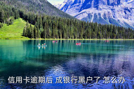 逾期黑戶(hù)了怎么辦，網(wǎng)貸逾期被加入黑戶(hù)了怎么辦