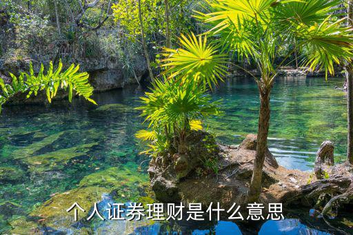 證券理財(cái)產(chǎn)品怎么回事，個(gè)人證券理財(cái)是什么意思