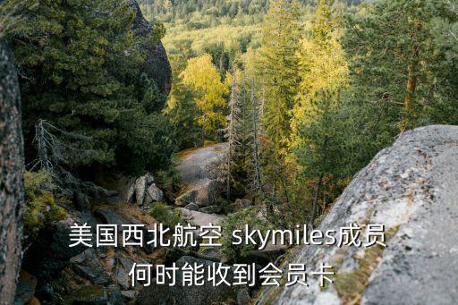 skymiles 會員卡怎么辦，怎么把上海東方航空的里程積累到我美國達美航空的賬號里