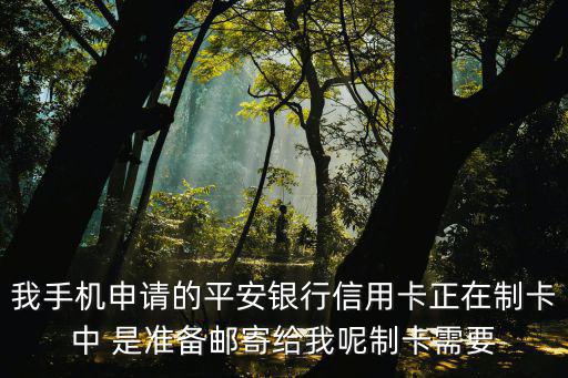 平安怎么查可用額度是多少時(shí)間，平安下卡了不知道額度怎么查