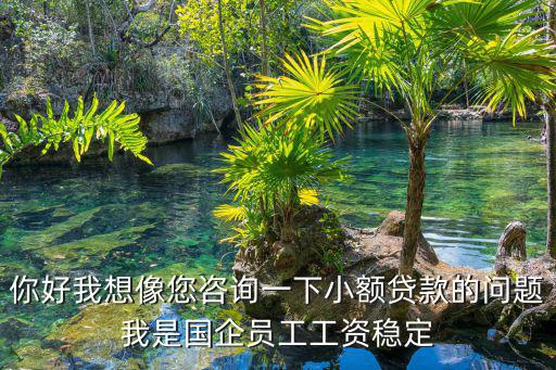 平安的員工貸款怎么辦理，平安好貸的申請流程是怎么樣的