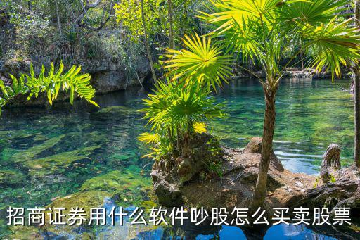招商證券用什么軟件吵股怎么買賣股票