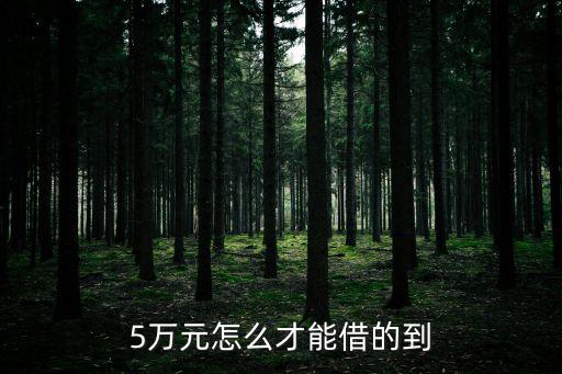 5萬(wàn)元怎么才能借的到
