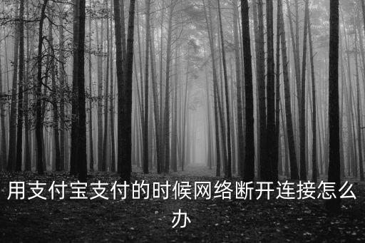 用支付寶支付的時(shí)候網(wǎng)絡(luò)斷開連接怎么辦