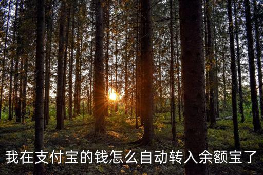 我在支付寶的錢怎么自動轉入余額寶了