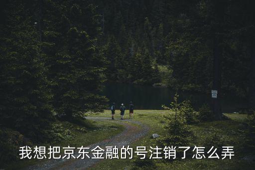 我想把京東金融的號注銷了怎么弄