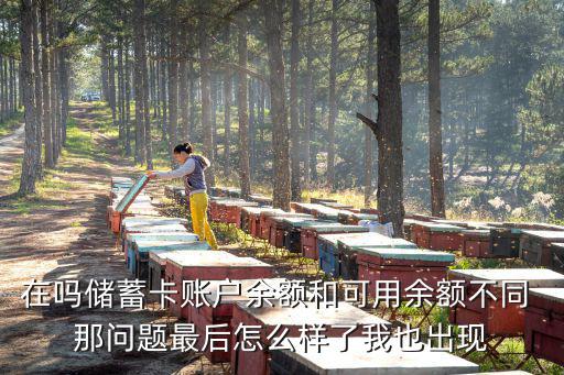 在嗎儲(chǔ)蓄卡賬戶(hù)余額和可用余額不同 那問(wèn)題最后怎么樣了我也出現(xiàn)